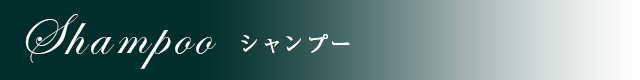 シャンプー